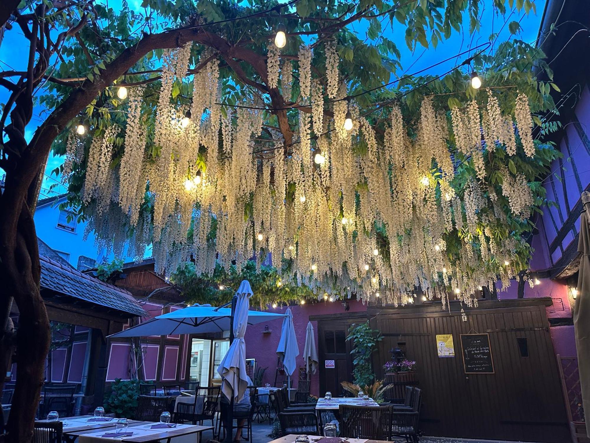 Auberge Le Meisenberg Châtenois Екстериор снимка