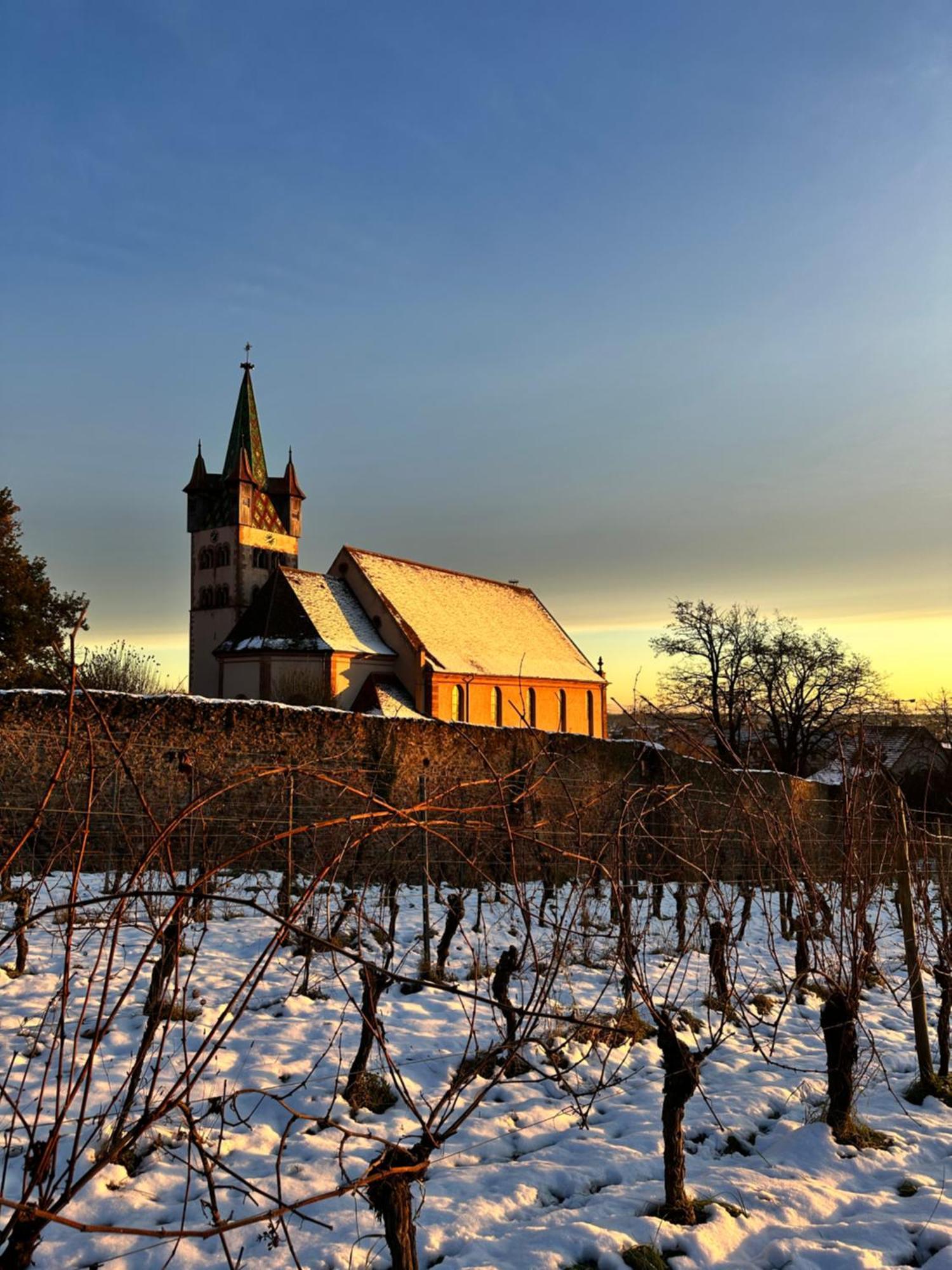Auberge Le Meisenberg Châtenois Екстериор снимка