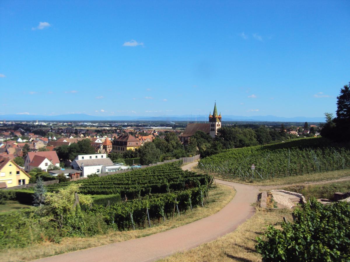 Auberge Le Meisenberg Châtenois Екстериор снимка