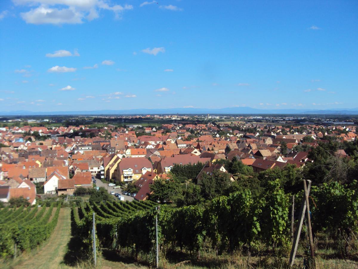 Auberge Le Meisenberg Châtenois Екстериор снимка