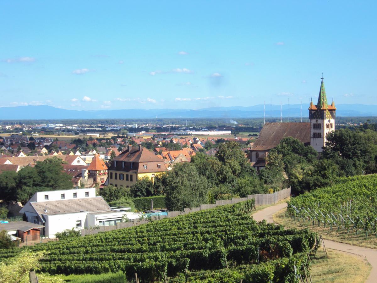 Auberge Le Meisenberg Châtenois Екстериор снимка